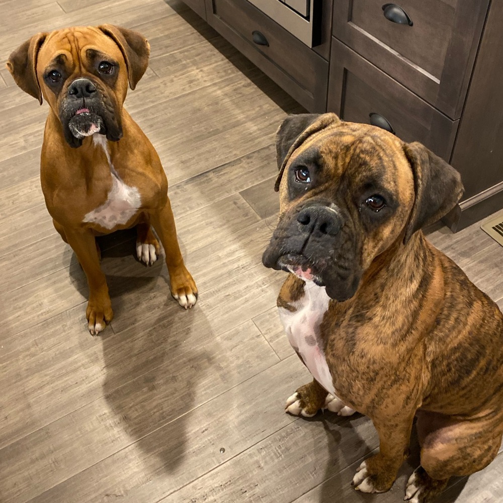 NOT FOR SALE Bonnie and Clyde. Why my user name🤣